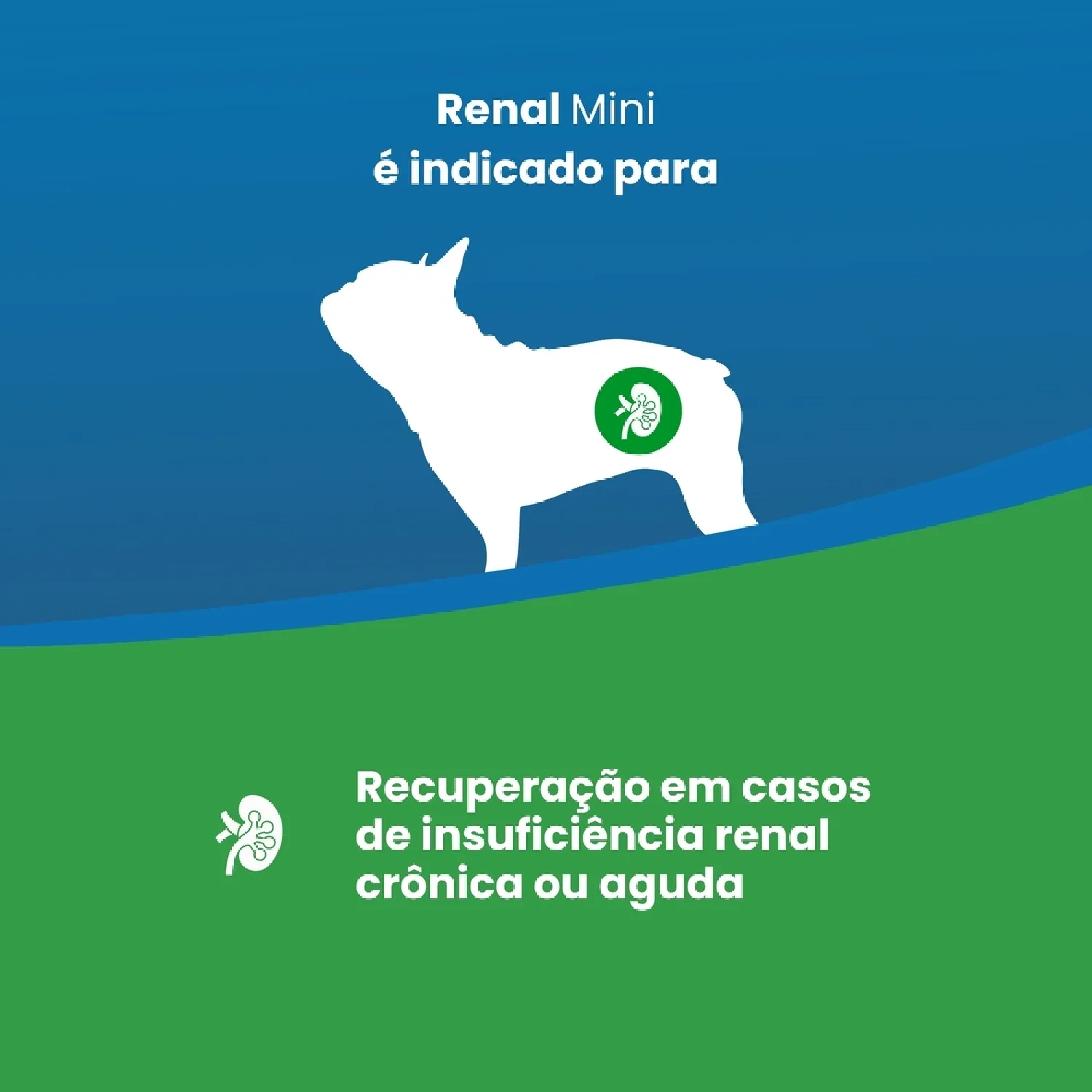 Racao Vet Life Natural Mini Canine Renal 2